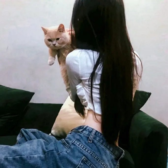 蒂科与鲨鱼